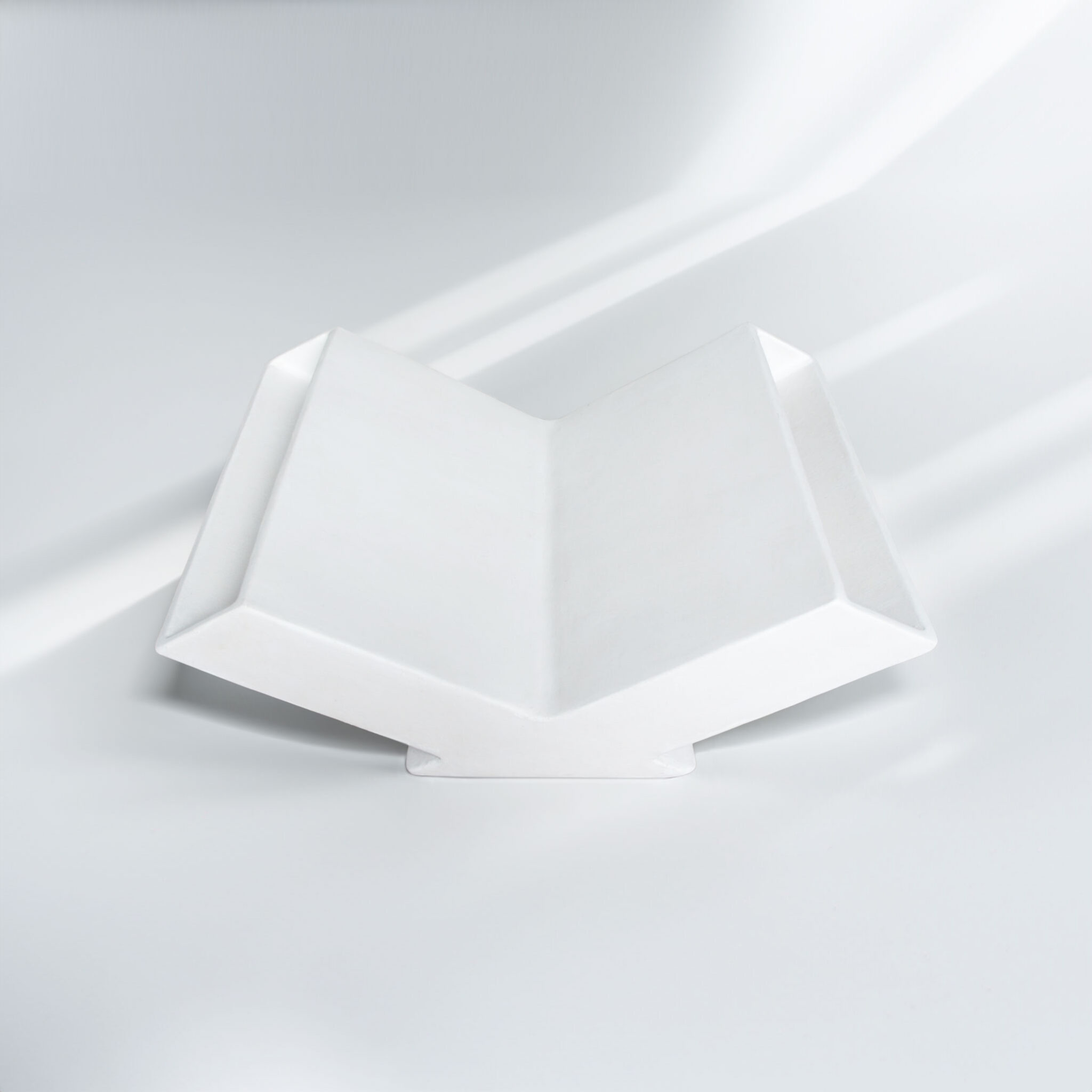 tomo tray top view